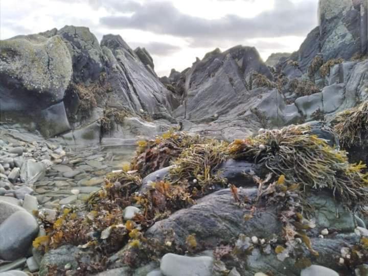 Port Lodge Northern Ireland Portaferry Eksteriør bilde